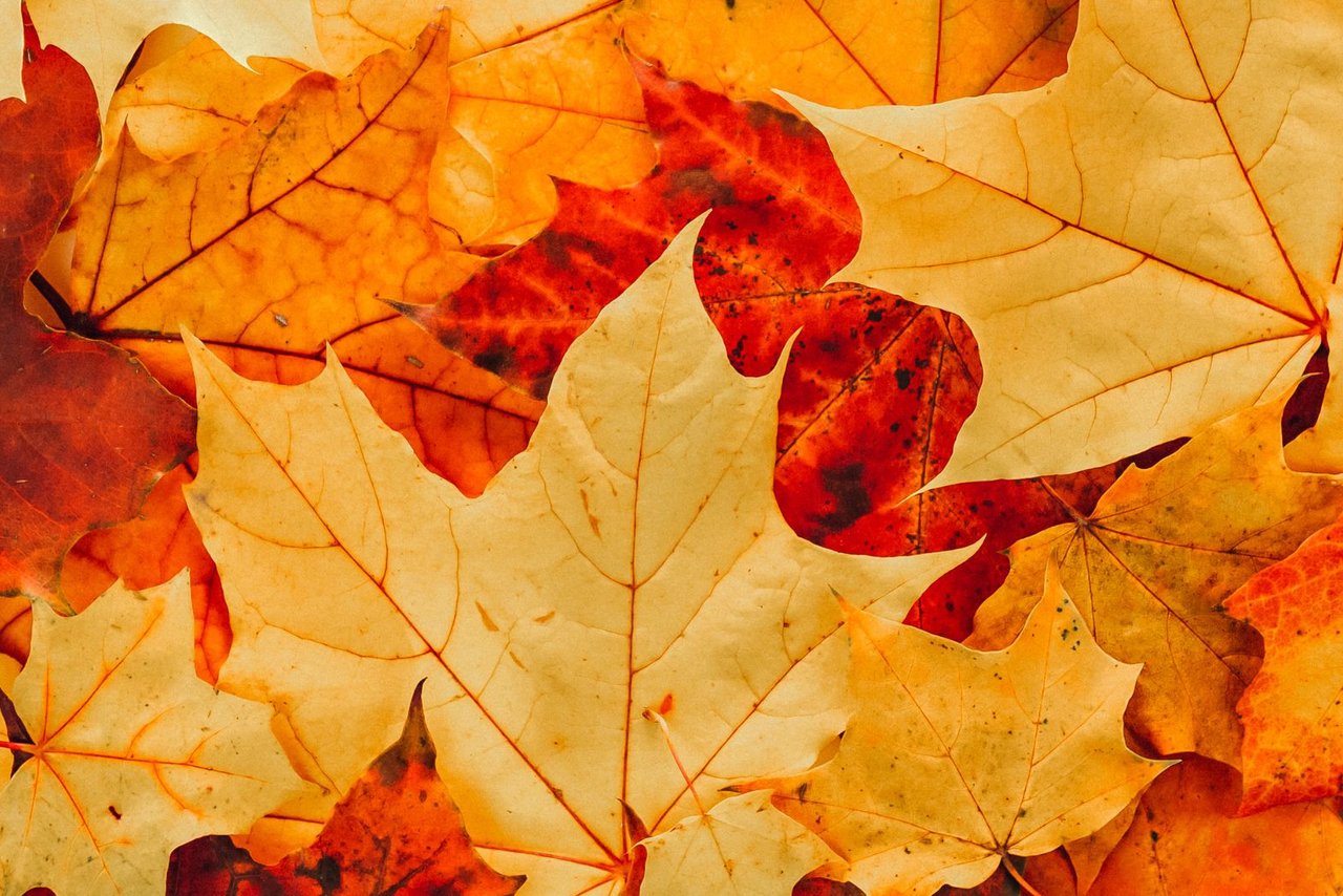 Reto de noviembre con Skeirrum